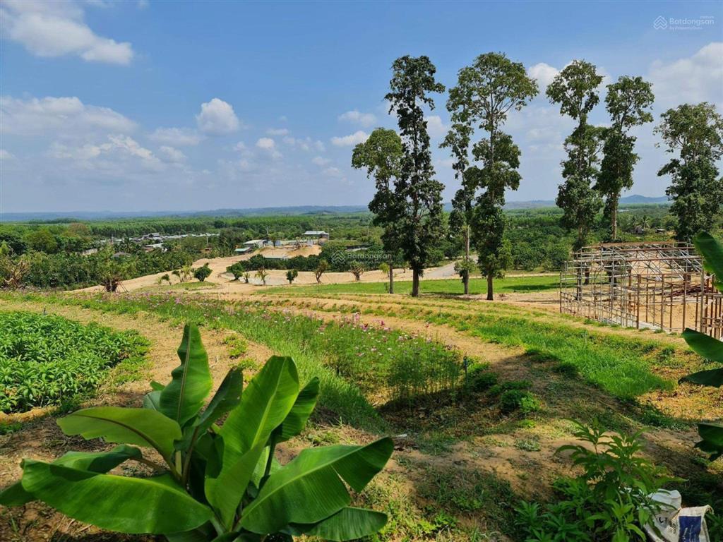 Bán gấp đất gần hồ trị an, rất hợp nghỉ dưỡng, thiên nhiên trong lành