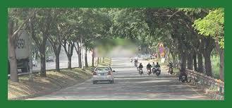 Bán đất nền dự án 126m2, 59 triệu / m2 tại nguyễn văn linh, phong phú, bình chánh, hcm