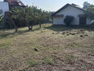 Cho thuê nhà vườn rộng 1500m2, nhà 160m2, chưa sử dụng,đường song hành ql22, hóc môn, 10 triệu