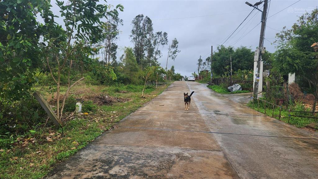 Bán đất 220m2 tại đường 610, xã duy hòa, huyện duy xuyên, giá 1,2 tỷ
