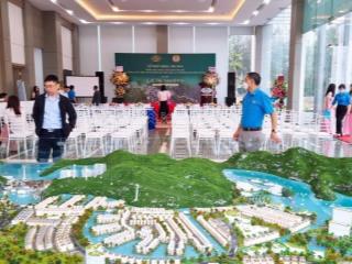 Bán liền kề cát bà amatina, giá thỏa thuận, 96m2, 4 tầng, mặt tiền 6m