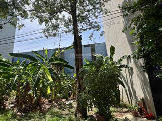 Bán đất dịch vụ kđt tân tây đô, quốc lộ 32, 150 triệu / m2, 55.5 m2
