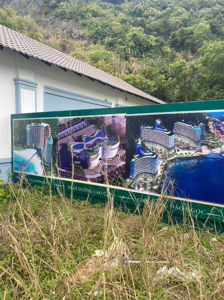 Bán đất liền kề, đất ở lâu dài, diện tích 96m2 khu a3, giá tốt, đang xây nhà.  0961 333 ***