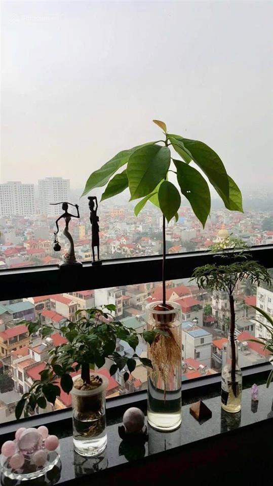 Cho thuê ch chung cư ngoại giao đoàn giá 15 triệu/ tháng