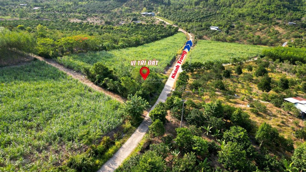 Bán đất 2 mặt tiền đường liên huyện  khánh nam, khánh vĩnh  517m2 giá 390 triệu