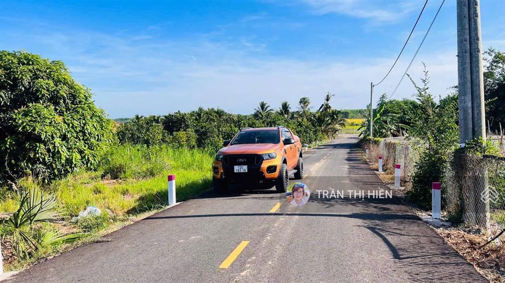 Bán vườn mít siêu rẻ  láng dài  đất đỏ  tp hcm. view cánh đồng lúa  dt 1000m2  19 x 56m
