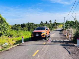 Bán vườn mít siêu rẻ  láng dài  đất đỏ  tp hcm. view cánh đồng lúa  dt 1000m2  19x 56m