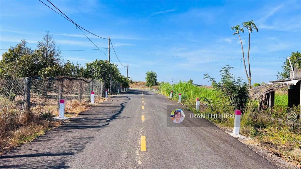 Bán vườn mít siêu rẻ  láng dài  đất đỏ  tp hcm. view cánh đồng lúa  dt 1000m2  19 x 56m