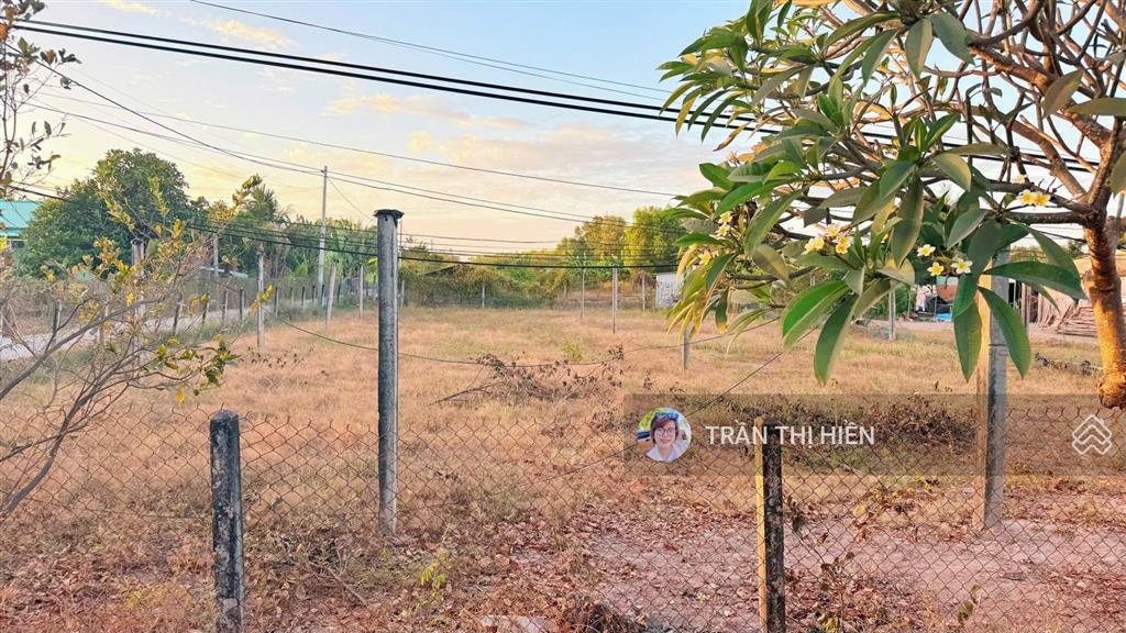 Thị trấn phước hải  cách biển phước hải chỉ 5km  ngay tỉnh lộ 44b  250m2  10x25m