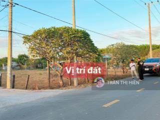 Thị trấn phước hải  cách biển phước hải chỉ 5km  ngay tỉnh lộ 44b  250m2  10x25m