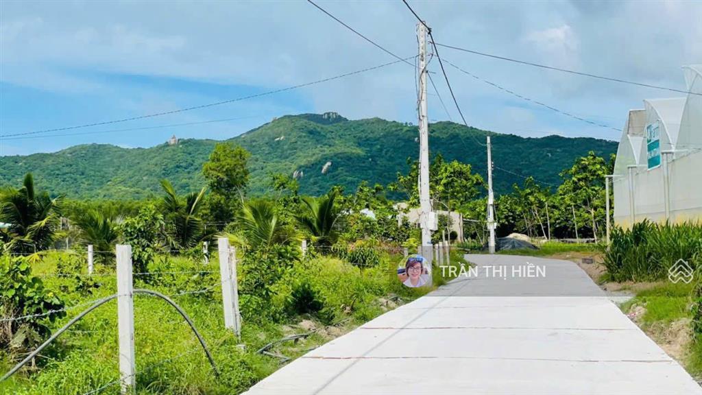 Phước hải  brvt  cách biển chỉ 5km  dt 265m2  ngang 8x33m sẵn 80m2 thổ cư, đường ô tô