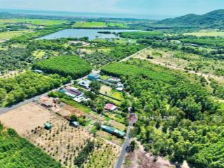Xã phước hải  tp hcm ven núi minh đạm ngay khu the oasis glamping  615m2  ngang 9m x 74m