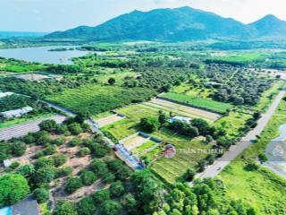 Thị trấn phước hải  ngay hồ sở bông  cách lan rừng resort chỉ 3km  dt 10x28m  285m²