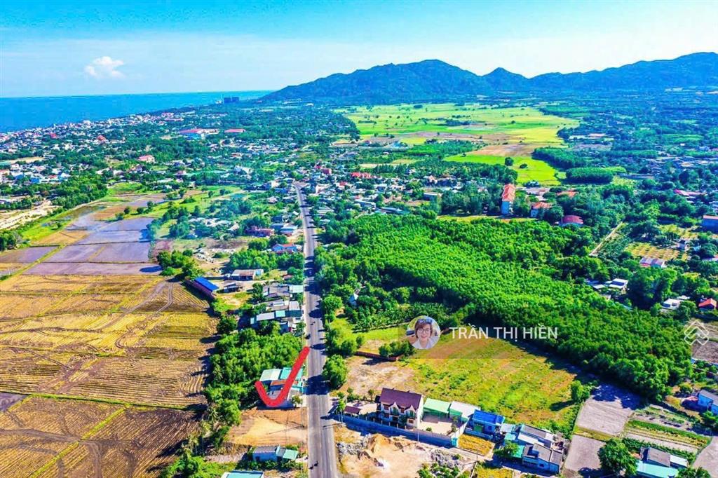 Tổng hợp 12 lô siêu đẹp, rẻ 1000m²  5000m² gần biển phước hải. view núi minh đạm  gần hồ sở bông