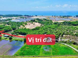 Quá rẻ đất nhà vườn gần biển phước hải  1213.8m2  chỉ 3tỷ tl