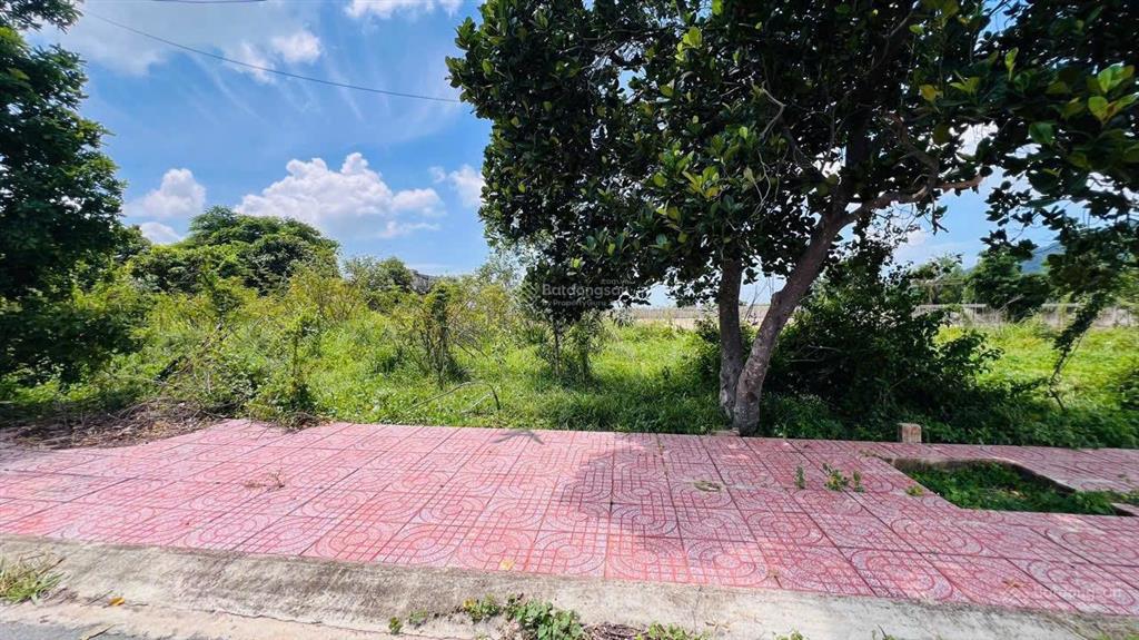 Gần biển  view núi  ngay hồ sở bông  10x24m  1,9 tỷ