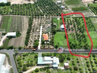 Vườn trái cây 2 mặt tiền phước hải 2843m2  có 480m2 thổ cư  ngang 33,5x90m