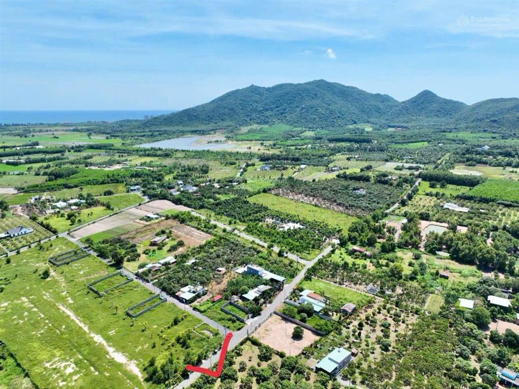 Vườn xoài thị trấn phước hải  3314m2  sẵn 1600m2 thổ cư siêu đẹp rẻ