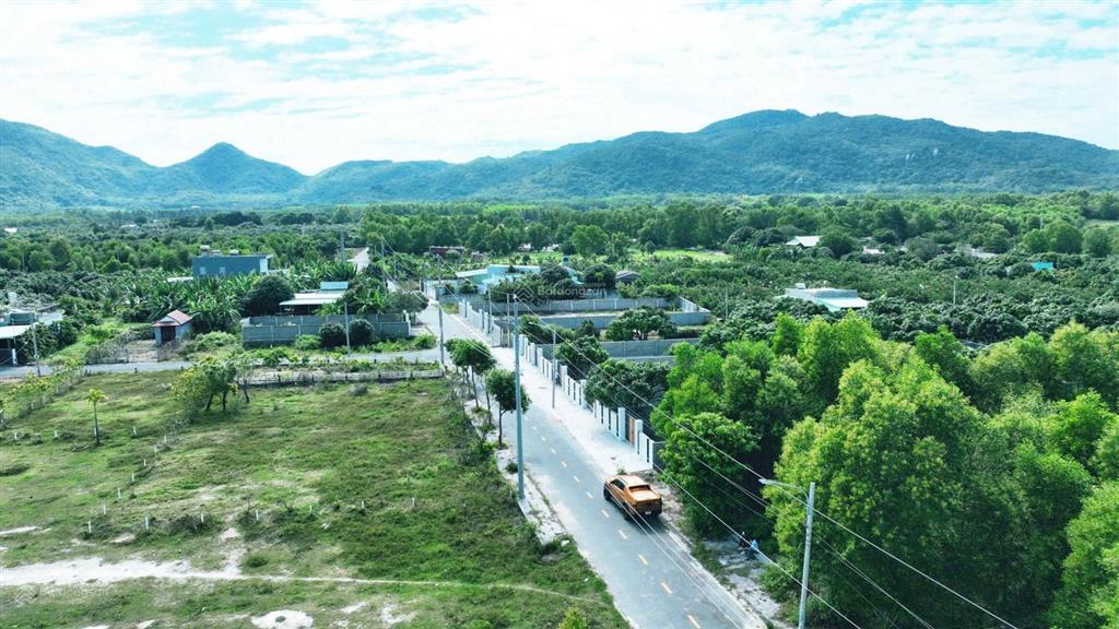 Vườn xoài thị trấn phước hải  3314m2  sẵn 1600m2 thổ cư siêu đẹp rẻ