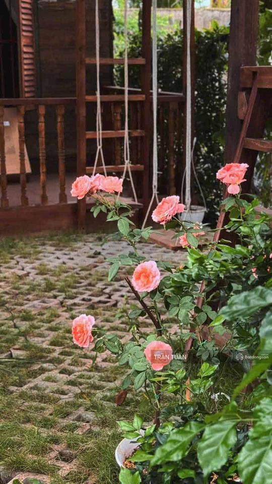 Bán nhà  giá đất  khu bcr tam đa chỉ 6 tỷ, 134m2, shr.