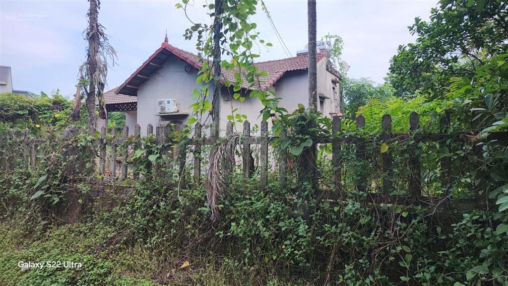 Cần chuyển nhượng 1460m2 nhà đất, ao vườn mặt đường tại xóm liên hòa, xã liên sơn, tỉnh phú thọ