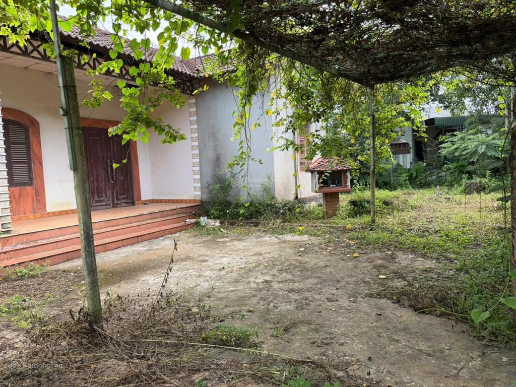 Cần chuyển nhượng 1460m2 nhà đất, ao vườn mặt đường tại xóm liên hòa, xã liên sơn, tỉnh phú thọ