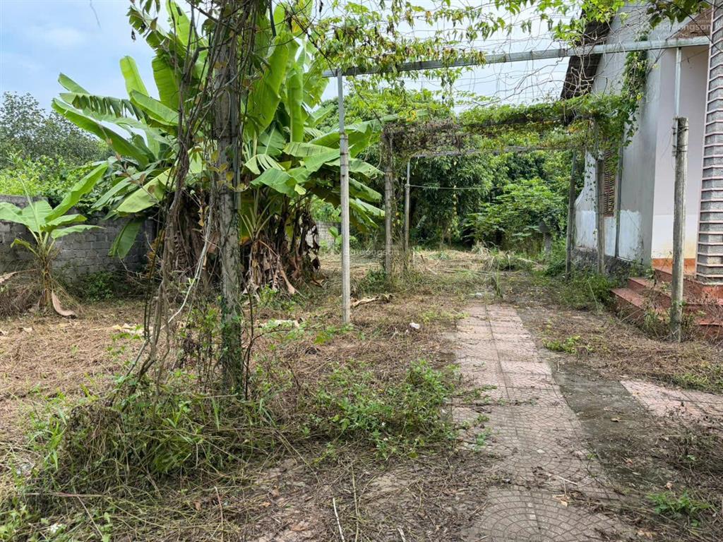 Cần chuyển nhượng 1460m2 nhà đất, ao vườn mặt đường tại xóm liên hòa, xã liên sơn, tỉnh phú thọ