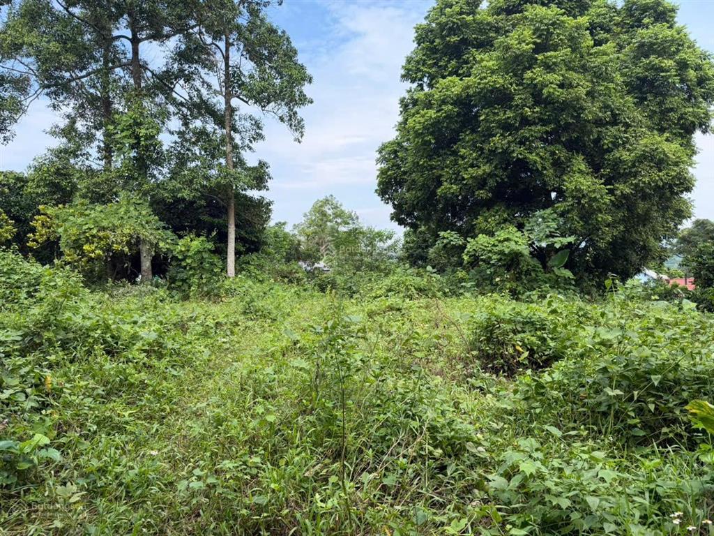 Cần chuyển nhượng 1413,9m2 đất tại xóm làng hang, xã liên sơn, tỉnh phú thọ