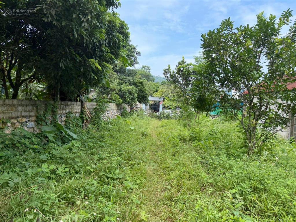 Cần chuyển nhượng 1413,9m2 đất tại xóm làng hang, xã liên sơn, tỉnh phú thọ