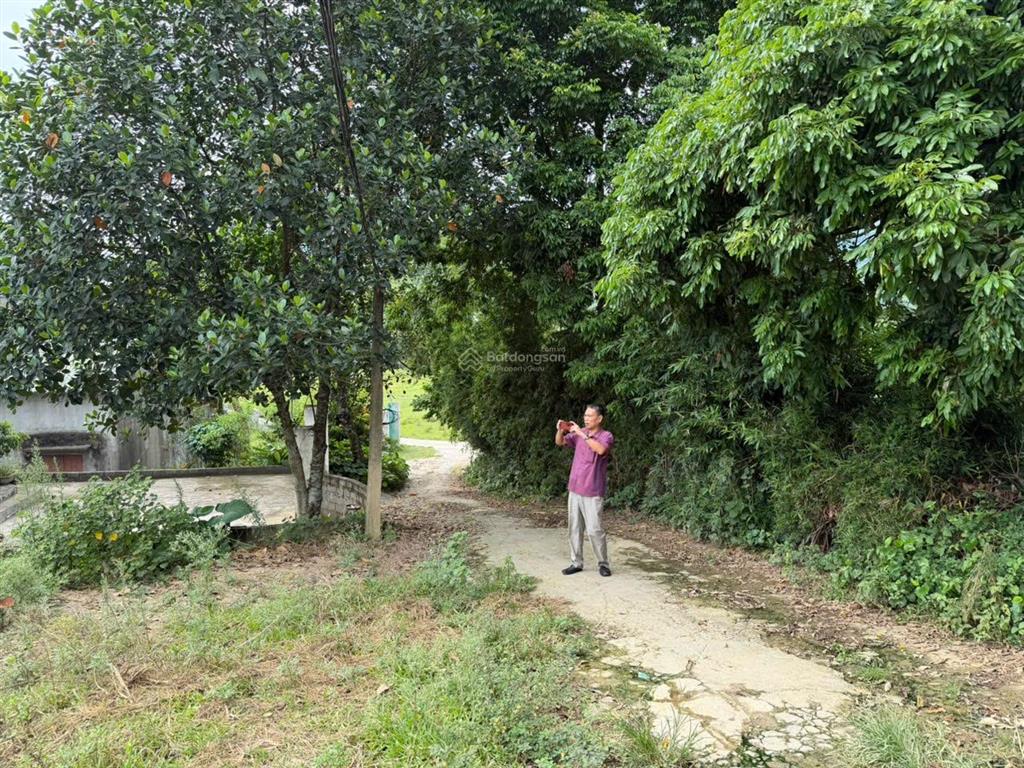 Cần chuyển nhượng đất thổ cư tại xóm phú ngọc, xã liên sơn, tỉnh phú thọ
