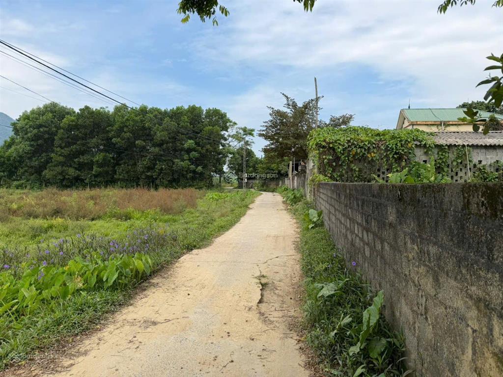 Cần chuyển nhượng đất thổ cư tại xóm phú ngọc, xã liên sơn, tỉnh phú thọ