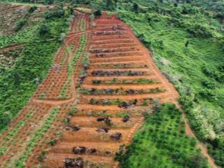 Cần bán 8.6 sào đường nhựa gần khu du lịch tà đùng