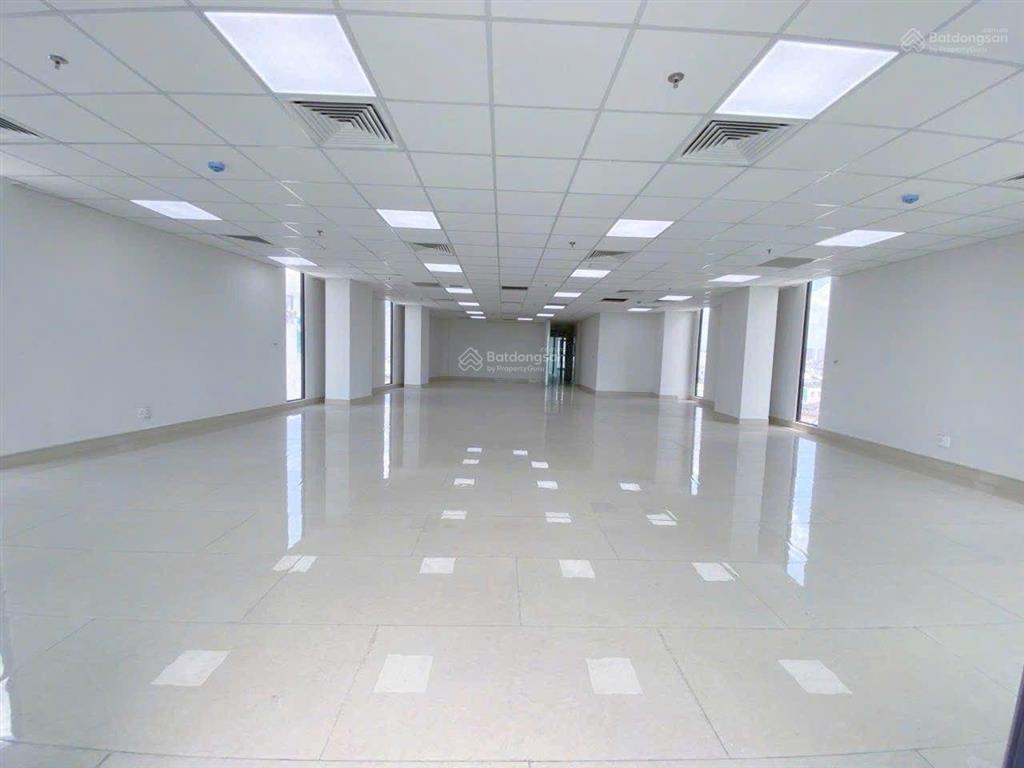 Cho thuê tòa nhà đường cửu long 10m x 20m hầm trệt 5 lầu trống