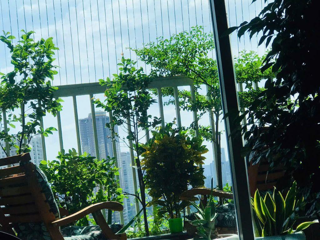 HOA HẬU 3PN 103m2 full đồ view Dương Nội tại Ecolife Capitol ĐANG BÁN GẤP 8.9 tỷ