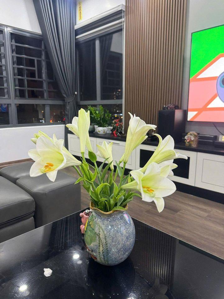  Chung cư Mulberry Lane: DT 124m2, 3Pn, tầng trung tòa D đẹp bán chỉ 8.1 tỷ