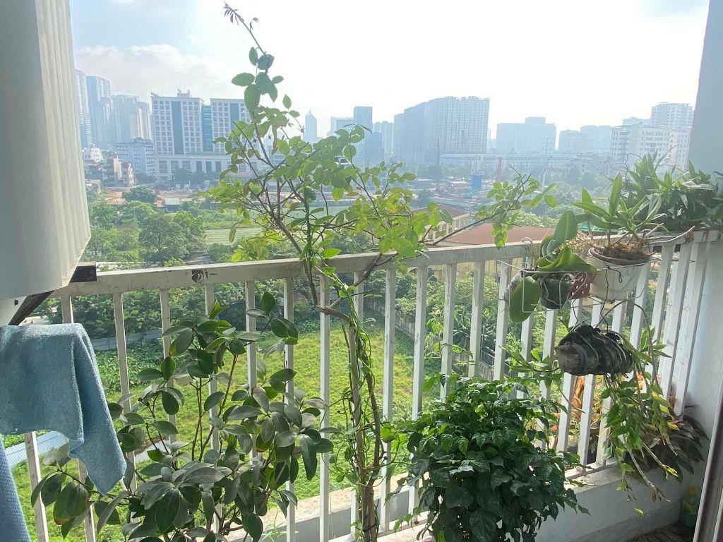 Rẻ Quá cho căn 2 ngủ 75m2 tại cc Ecolife Capitol - full đồ - SHLD chỉ 6.5x tỷ