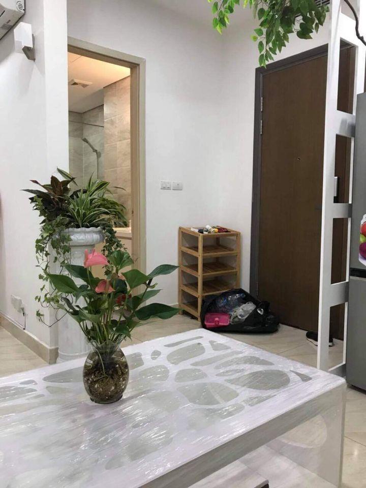 CHUYỂN NHƯỢNG nhanh Ecolife Capitol 1PN 49m2 tầng trung view Dương Nội [4 tỷ]
