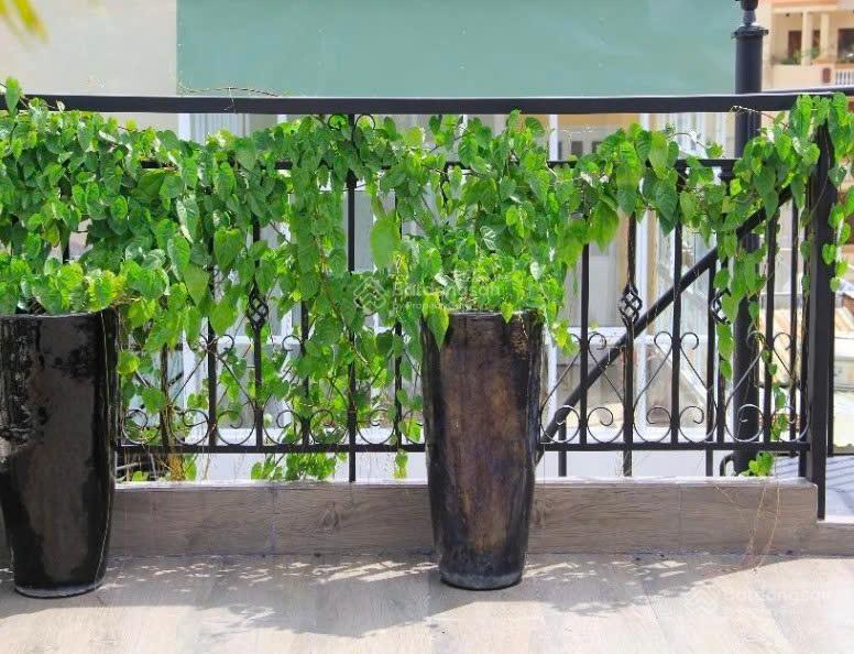 Hẻm siêu đẹp! xe hơi tránh nhau khu lê văn duyệt, bình thạnh 4x20m, 5 tầng. chỉ 15,2 tỷ 0925 049 ***