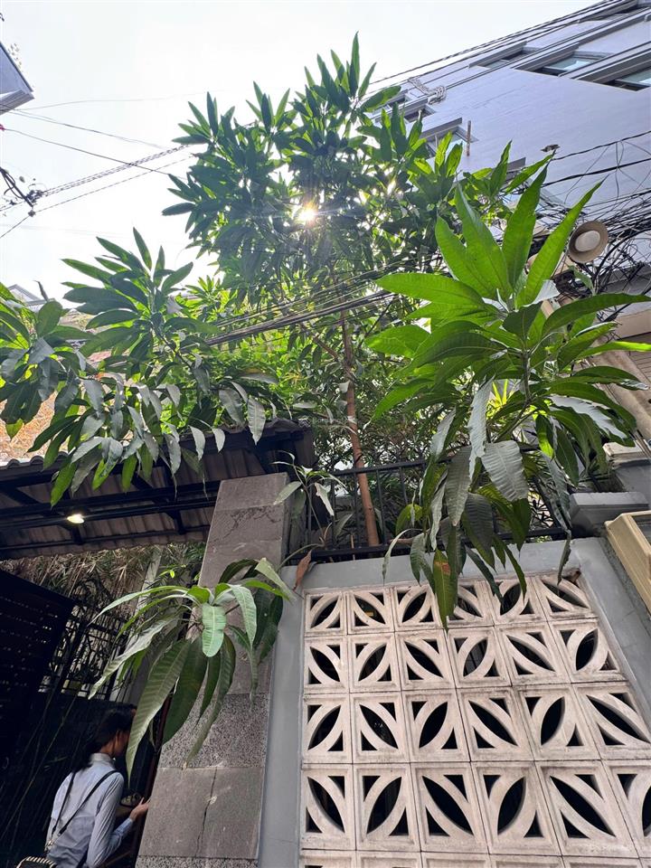 Kiến trúc pháp siêu đẹp! khu sang nguyễn cửu vân, p17  4,5x19m, 3 tầng chỉ còn 12,5 tỷ, 0925 049 ***