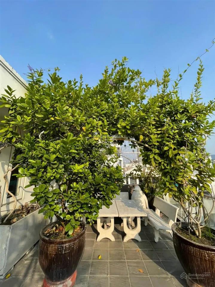 Siêu to! hơn 100m2  ngang 7,5m khu nguyễn văn trỗi, pn  7,5x16m. giá chỉ 15,5 tỷ 0925 049 ***