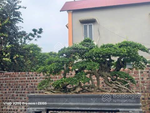 Bán đất phú cát sát sát khu công nghệ cao hòa lạc, lô góc 2 mặt tiền, sổ đỏ
