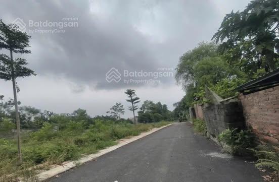 Hơn 1 tỷ sở hữu ngay lô 100m² sổ đỏ chính chủ tại quốc oai.  0385 088 ***