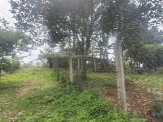 Bán 1.100m² đất phú cát giá chưa đến 10 triệu/m2