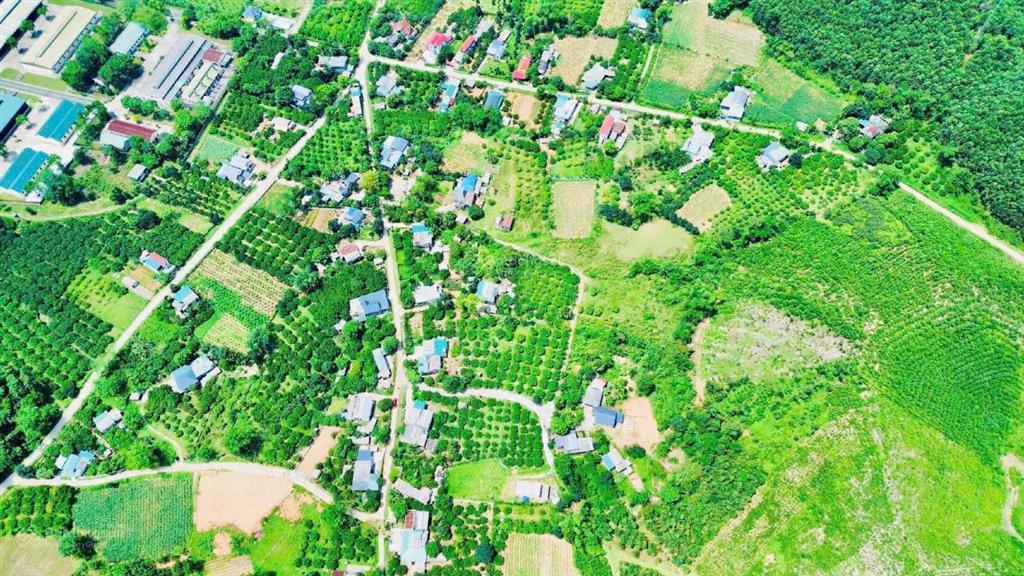 Cắt lỗ bán nhanh siêu phẩm đất thị trấn mãn đức tân lạc hòa bình