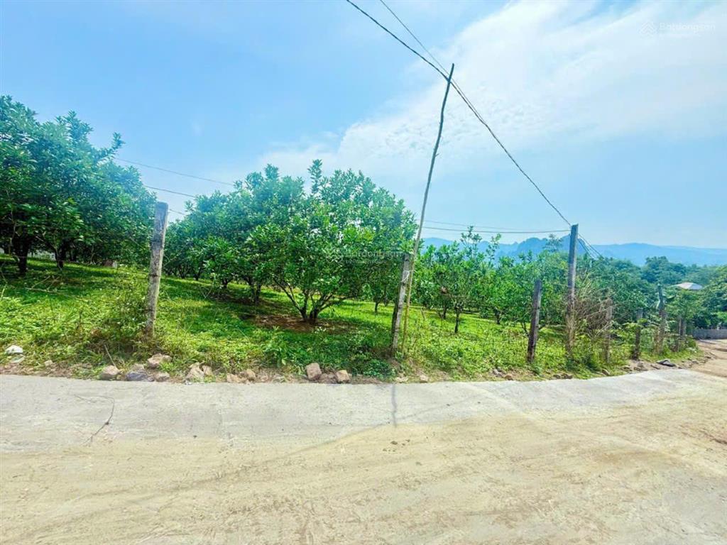 Cắt lỗ bán nhanh siêu phẩm đất thị trấn mãn đức tân lạc hòa bình
