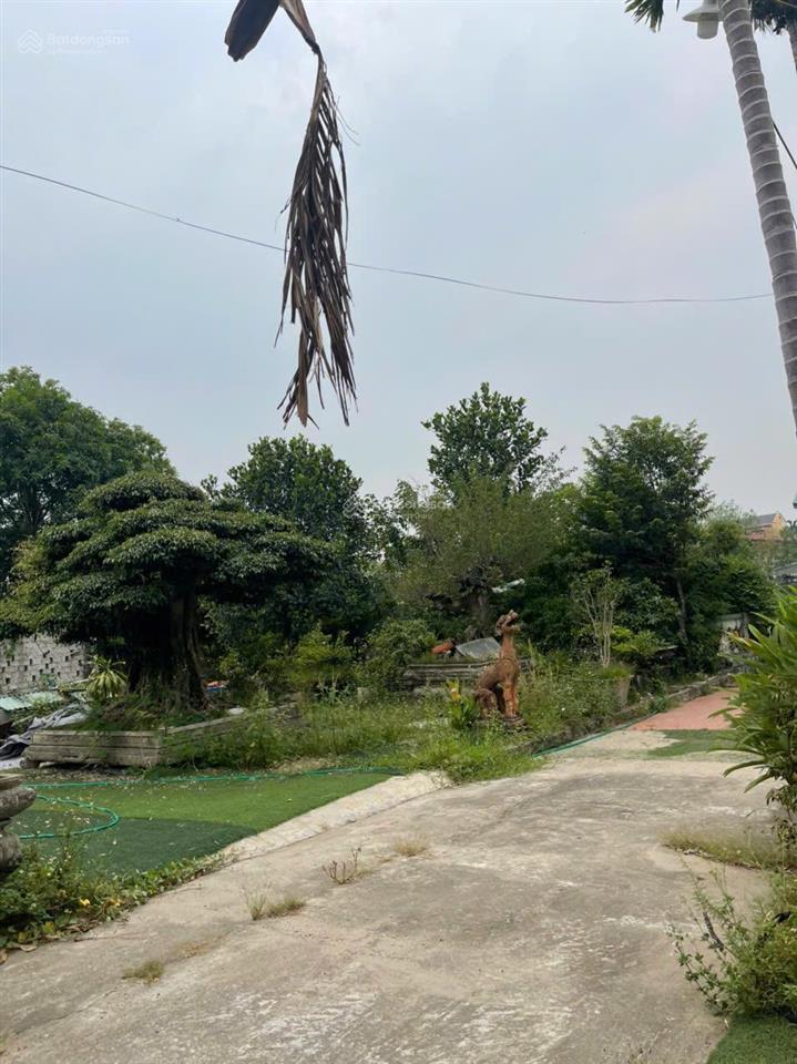 Bán 379m2 đất mặt tiền đường đê (đường nguyệt quế) thôn cẩm cơ, xã hồng vân. 55tr/m2 có tlcc.