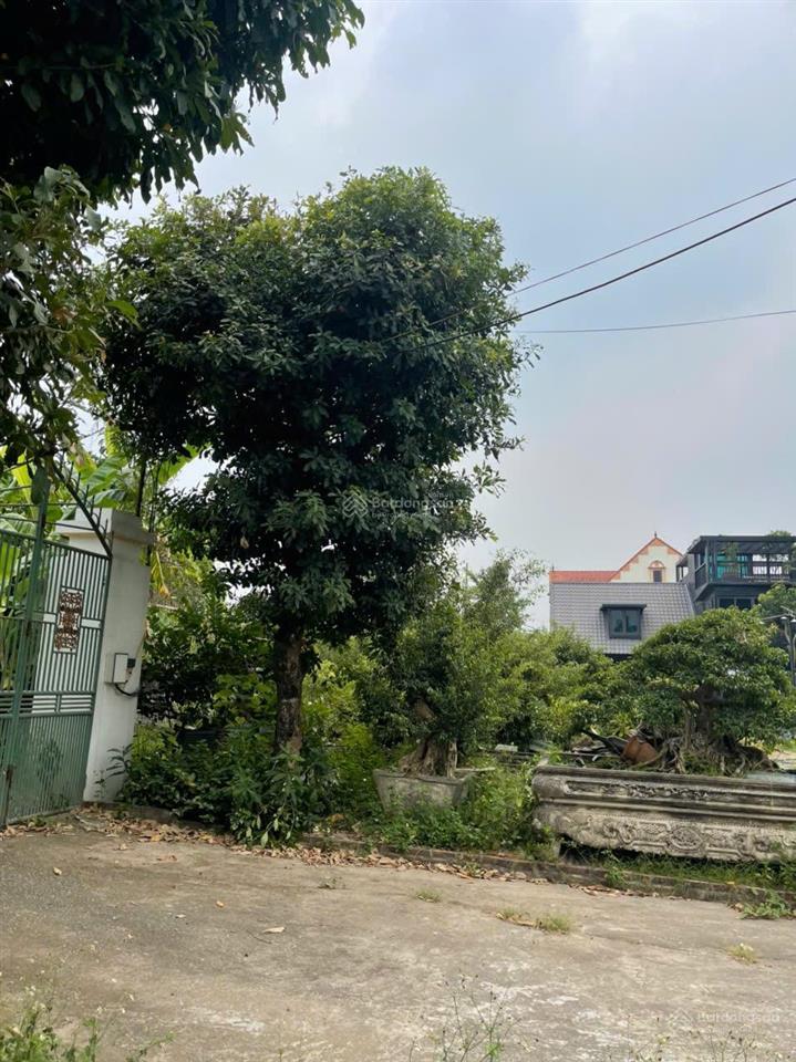 Bán 379m2 đất mặt tiền đường đê (đường nguyệt quế) thôn cẩm cơ, xã hồng vân. 55tr/m2 có tlcc.