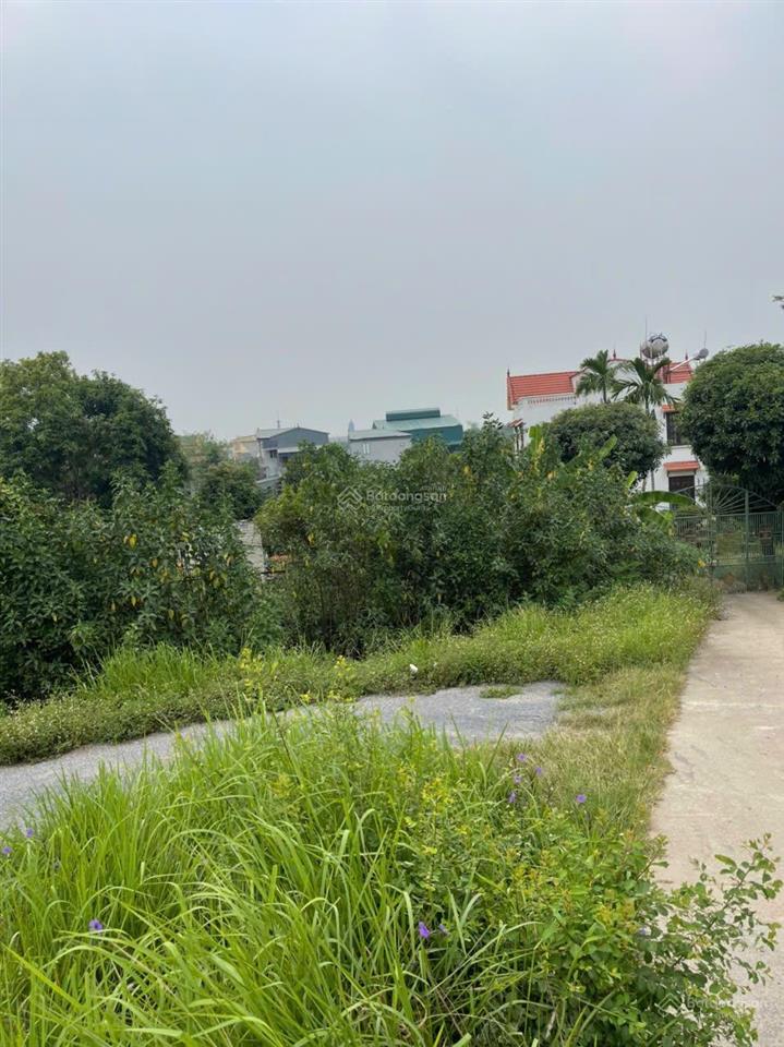 Bán 379m2 đất mặt tiền đường đê (đường nguyệt quế) thôn cẩm cơ, xã hồng vân. 55tr/m2 có tlcc.