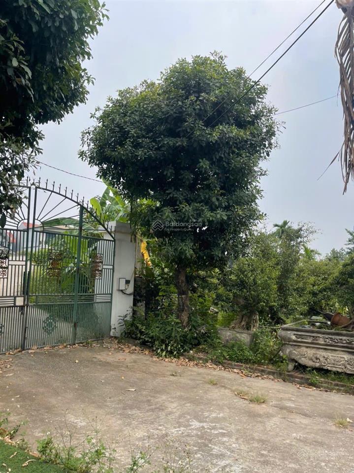Bán 379m2 đất mặt tiền đường đê (đường nguyệt quế) thôn cẩm cơ, xã hồng vân. 55tr/m2 có tlcc.