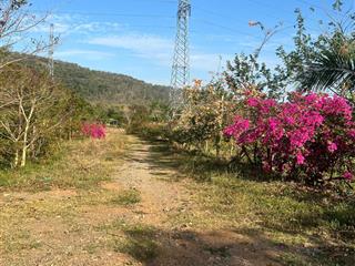 Chính chủ cần bán 22ha đất farm kết hợp vườn cây ăn trái, hàm phú hàm thuận bắc, bình thuận giá tốt